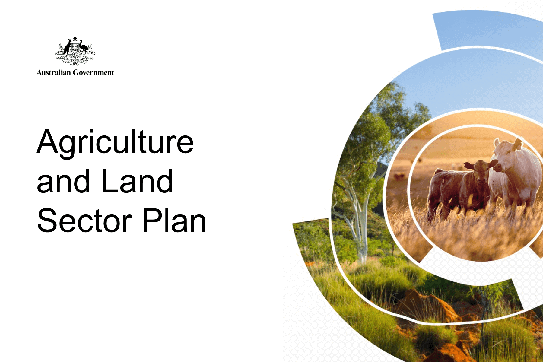Agriculture and Land Sector Plan 2025 - AASF